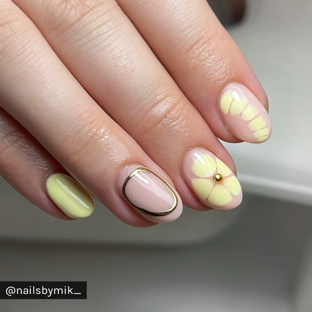 Gelous Custard Cream - Instagram Photo